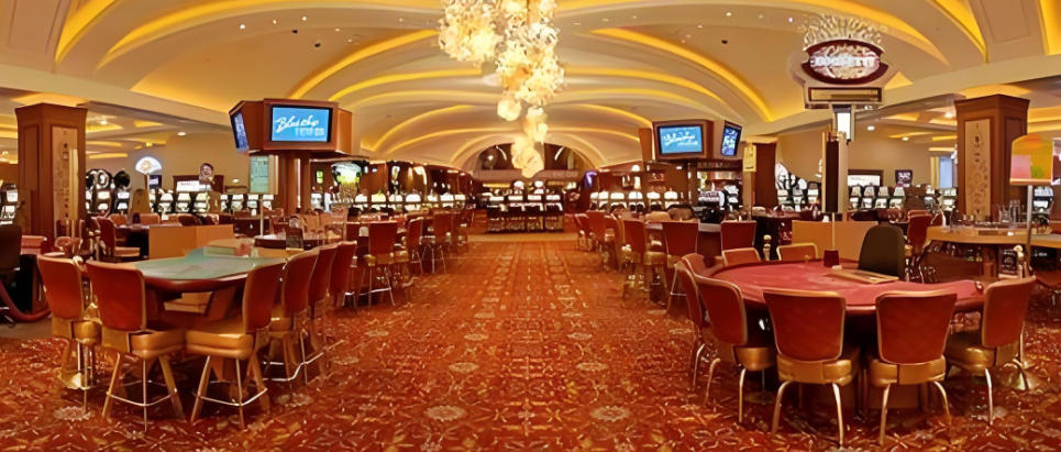 如何在紅狗遊戲中選擇最佳投注方式？