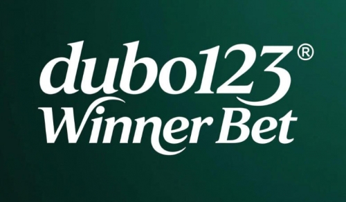 Winner Bet贏家投注全攻略：提升勝率的關鍵策略與資金管理心法